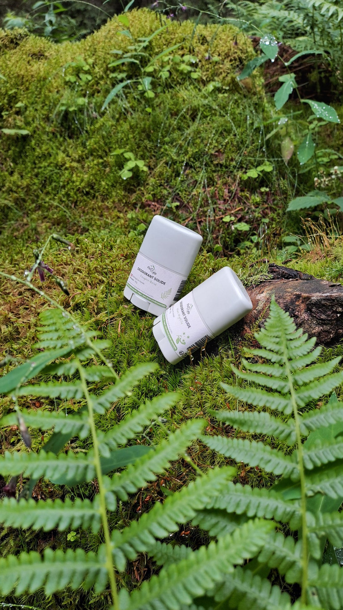 🫐 Les parfums des déodorants FloR’alp : deux signatures olfactives inspirées de la montagne
