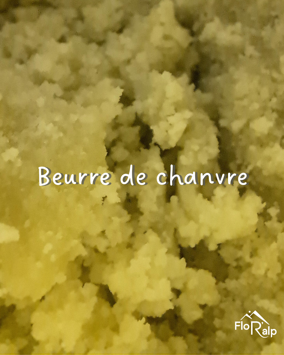 Les ingrédients de la crème hydratante FloR'alp, décryptés : le beurre de chanvre