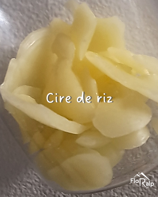 Les ingrédients de la crème hydratante FloR'alp, décryptés : la cire de riz