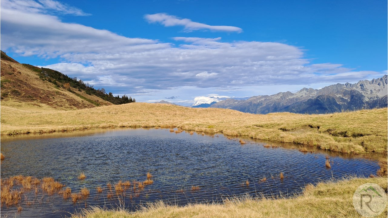 Lac des grenouilles