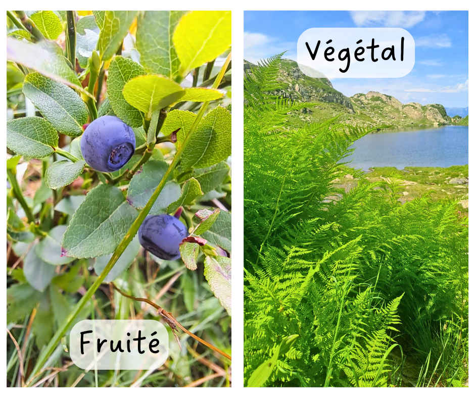 Déodorant naturel efficace - parfums deodorants